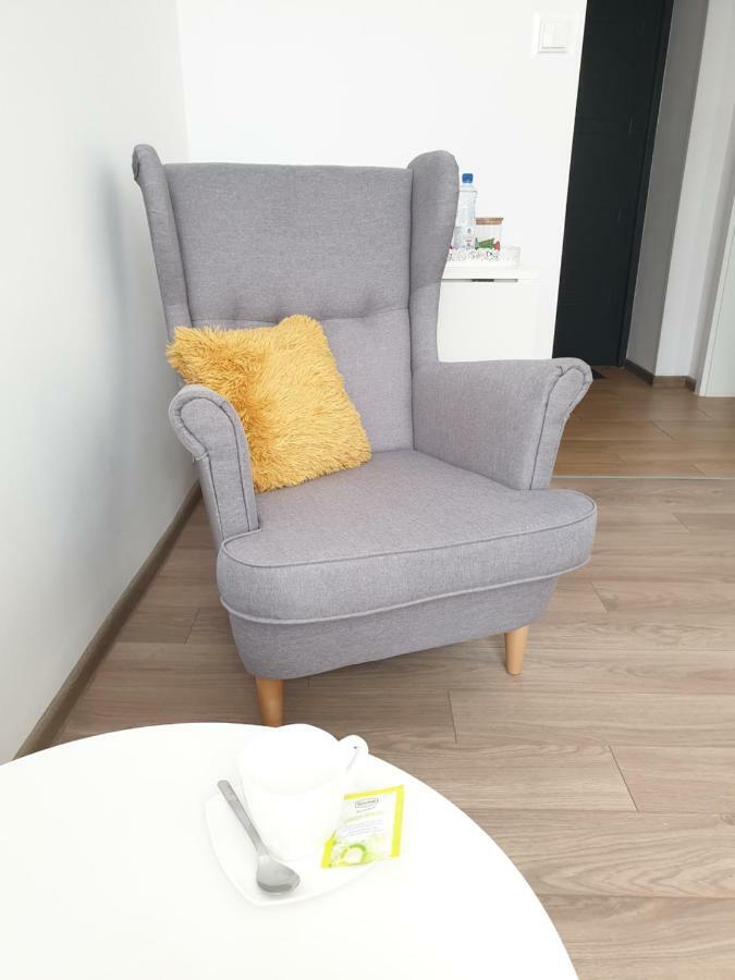 Apartament Skandia Stary Toruń エクステリア 写真